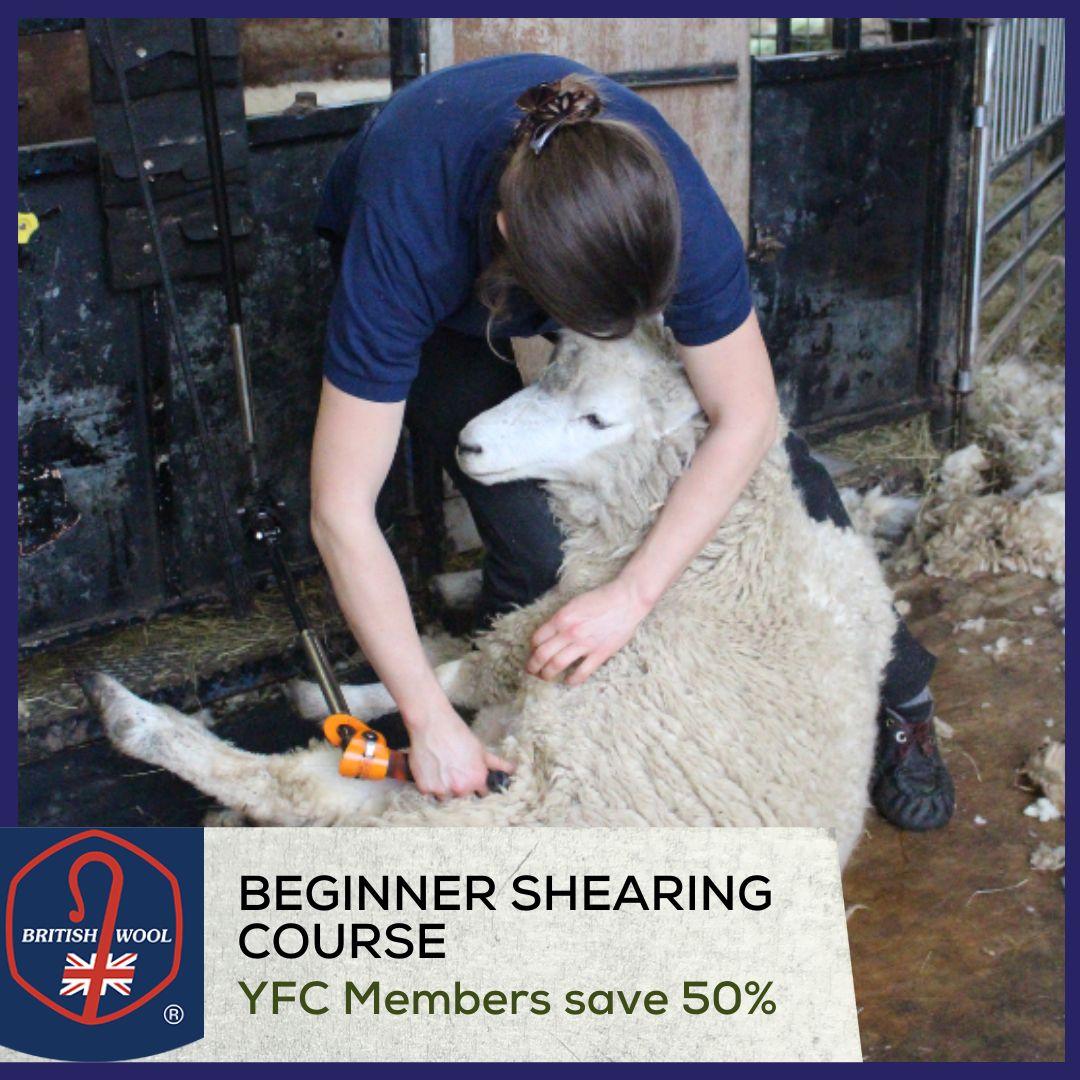 British wool training opportunity