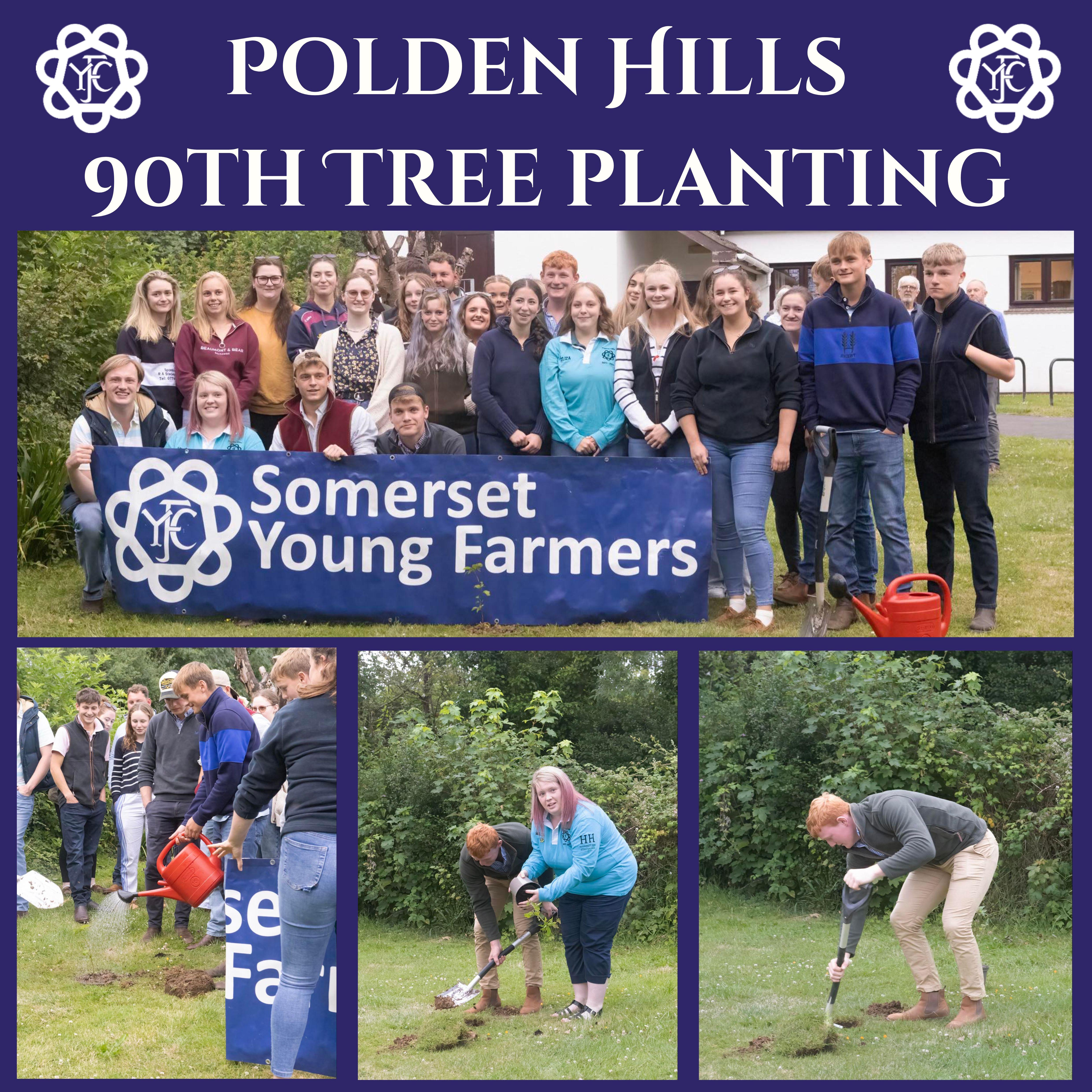 Polden Hills plant Somerset YFC's 90th Year sapling